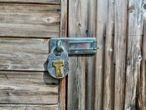 Courtroom Security: Balancing Access and Safety