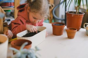 Home libraries inspire lifelong curiosity and learning