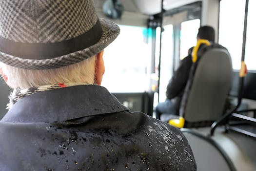 Public Bus Design: Past, Present, and Future