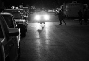 Pet-Friendly Cars for Animal Lovers