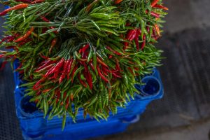 Cooking with Fresh Herbs from Your Garden