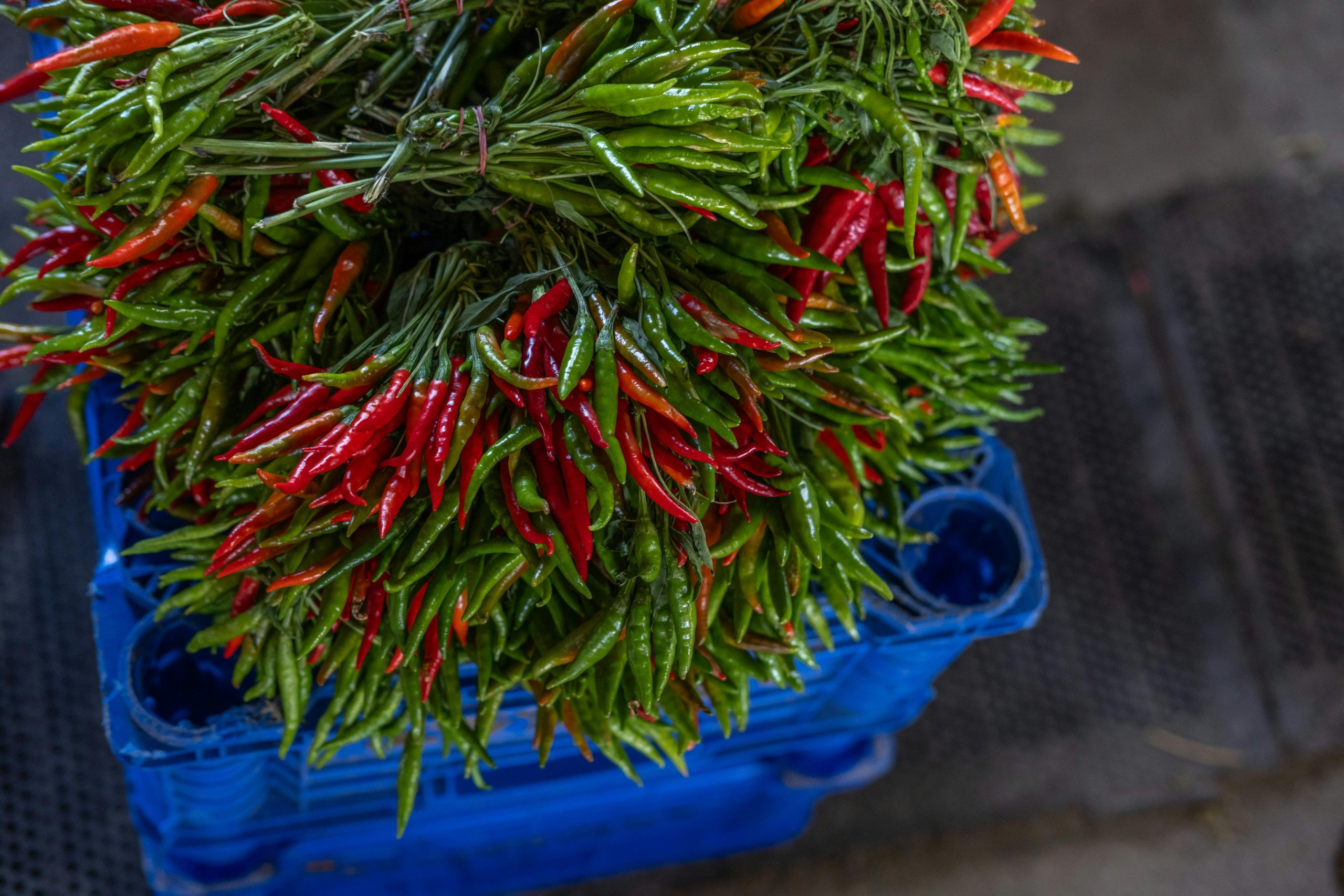 Cooking with Fresh Herbs from Your Garden