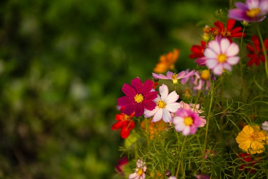 Wildflowers arranged in jars add natural beauty