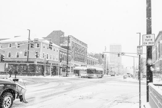 Top Vehicles for Winter Weather