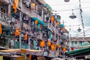 Urban gardening movements redefine city apartment life
