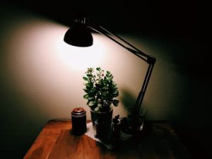 Minimalist living lessons from families who downsized