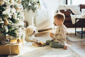 Pet Supplies: Surprising Trends This Year