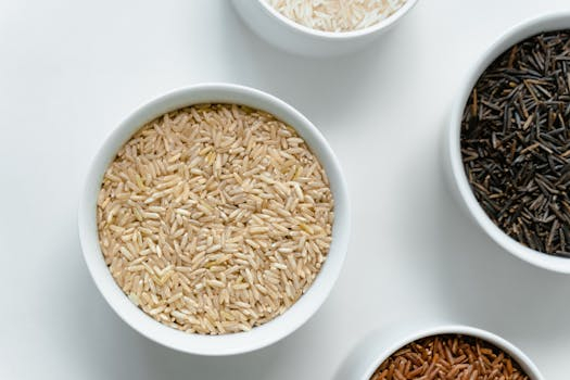 Global Rice Dishes to Try This Year