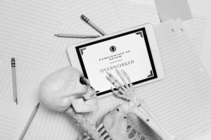 School Choice: Options and Outcomes