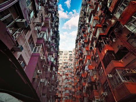 Sunflowers on balconies brighten city apartments