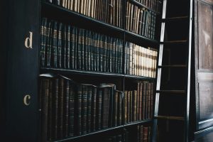 Public Interest Law: Fighting for Social Justice